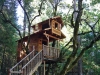 tree-houses-1