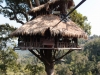 tree-houses-13