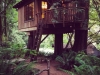 tree-houses-15