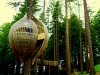 tree-houses-5