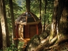 tree-houses-8